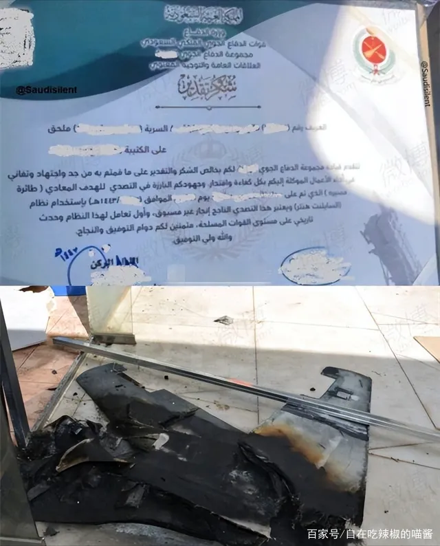 Saudi Arabia Silent Hunter